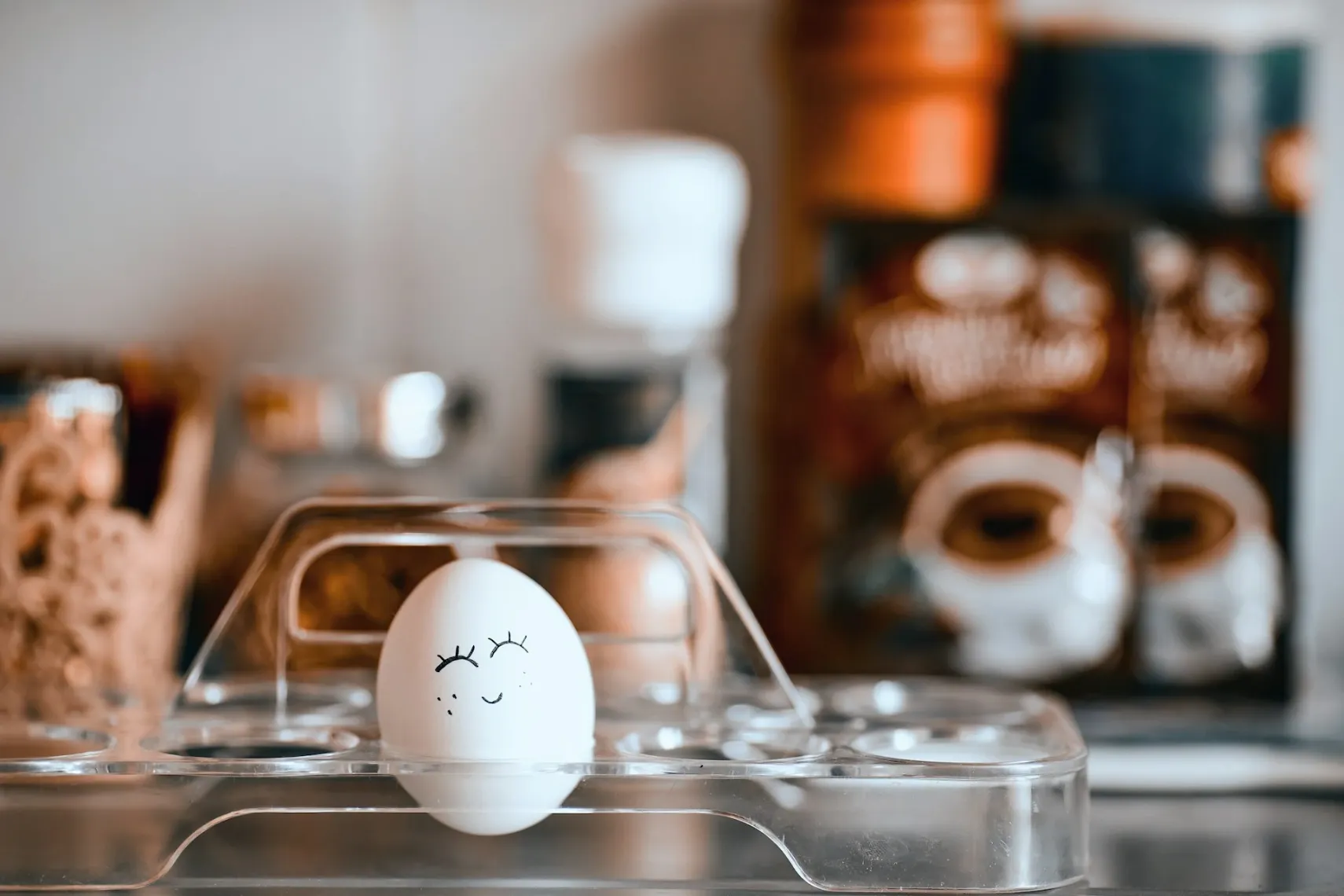 Small Egg Incubator (12 Eggs) - Perfect for Beginners